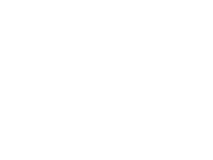 logo1